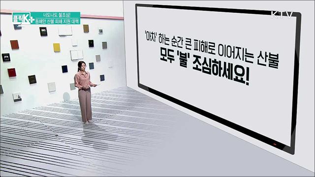 너도나도 불조심! 동해안 산불 피해 지원 대책 [클릭K+]