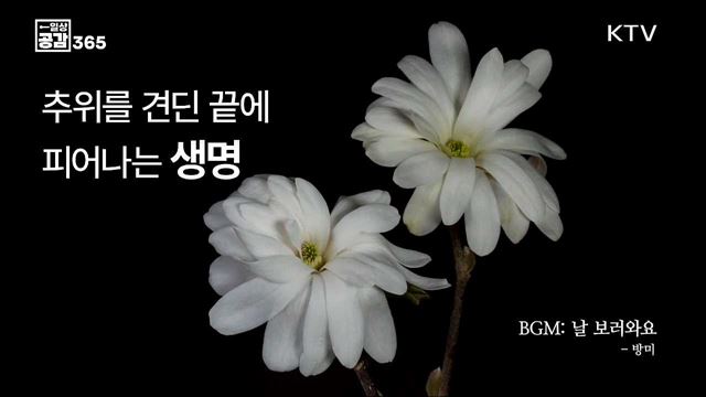 봄꽃 향기 가득한 3월...♥ [일상공감365]