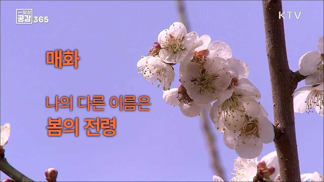 봄꽃 향기 가득한 3월...♥ [일상공감365]