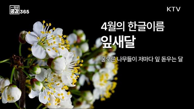 4월의 이야기 [일상공감365]