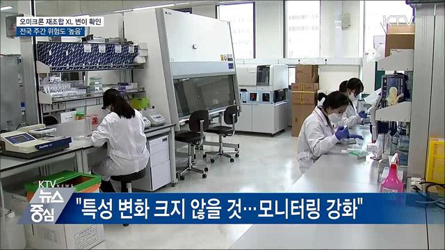 국내서 오미크론 재조합 변이 XL 감염 확인