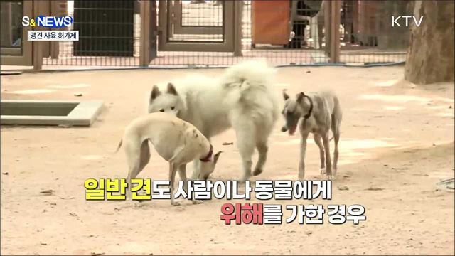 맹견 사육 허가제 도입···똑똑똑 '금연 두드림' [S&News]