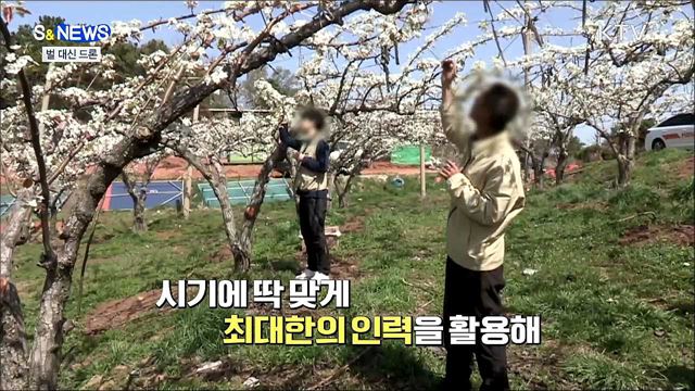 꽃가루 뿌리는 드론···못 하는게 없네 [S&News]