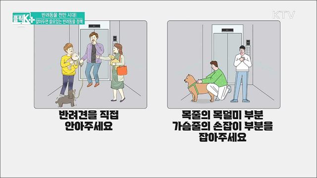 반려동물 천만 시대! 알아두면 쓸모있는 반려동물 정책 [클릭K+]