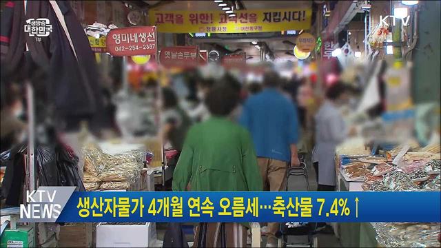 생산자물가 4개월 연속 오름세···축산물 7.4%↑