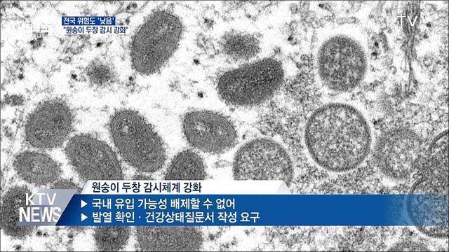 전국 위험도 '낮음'···"원숭이 두창 감시 강화"