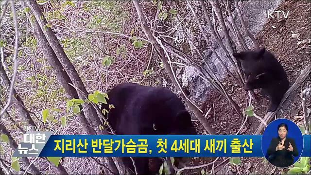 지리산 반달가슴곰, 첫 4세대 새끼 출산