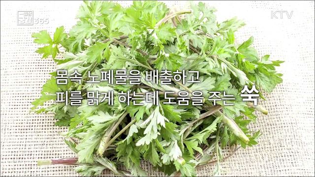 단오, 건강하게 여름나기 [일상공감365]