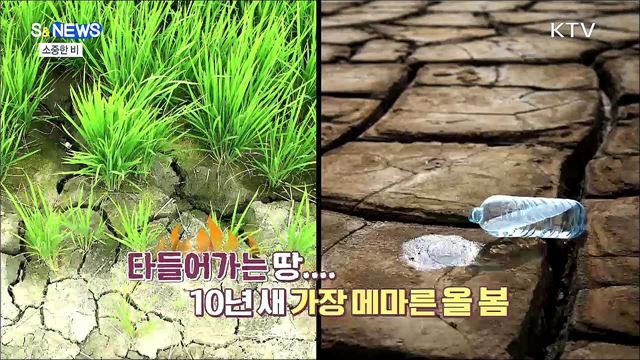 산림이 타들어 간다…빗물 1mm 7억 원의 가치 [S&News] 