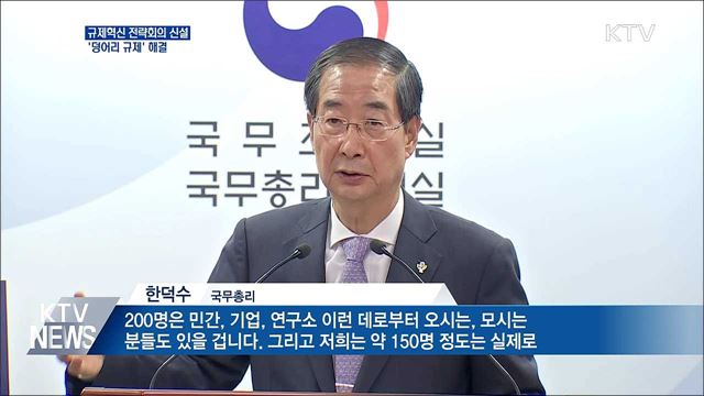 규제혁신전략회의 신설···'덩어리 규제' 해결 