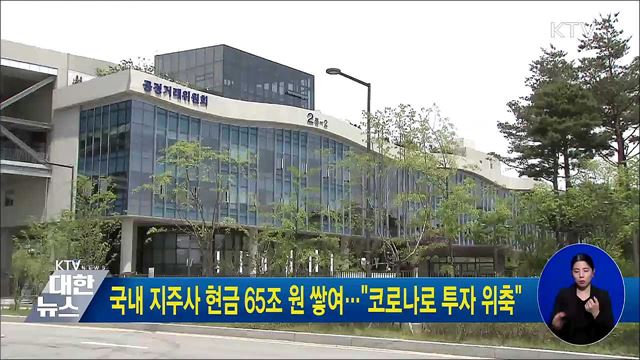 국내 지주사 현금 65조 원 쌓여···"코로나로 투자 위축"