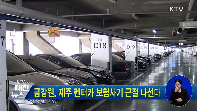 금감원, 제주 렌터카 보험사기 근절 나선다