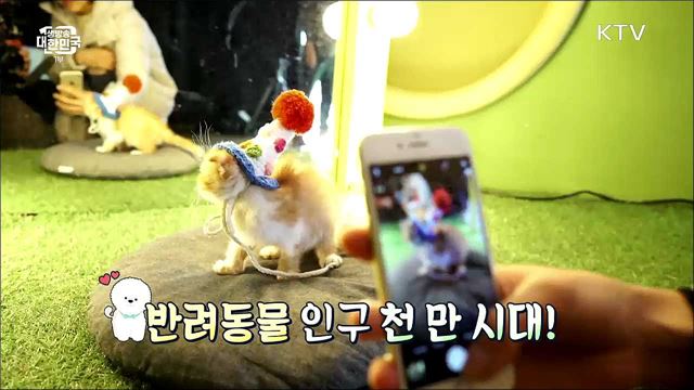 돈 대신 사랑으로 입양하세요 "유기동물 입양비 지원" [돈이 보이는 VCR]