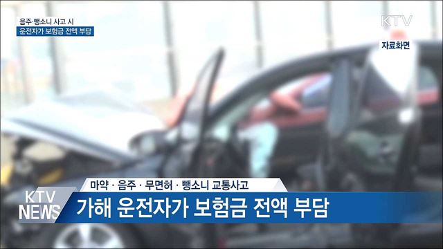 '음주·마약·뺑소니' 운전자가 보험금 전액 부담