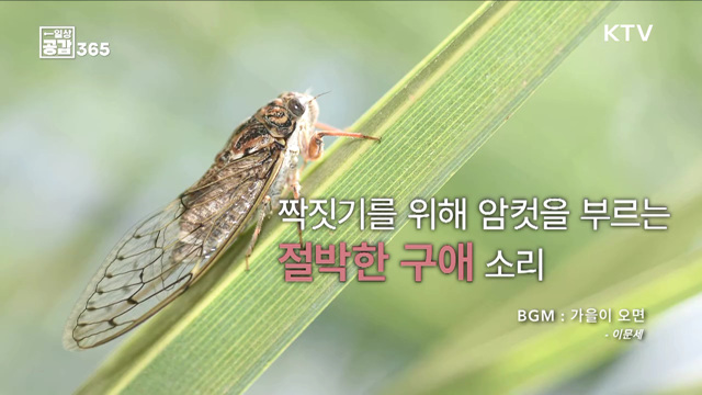 계절이 가고 오는 소리 [일상공감365]