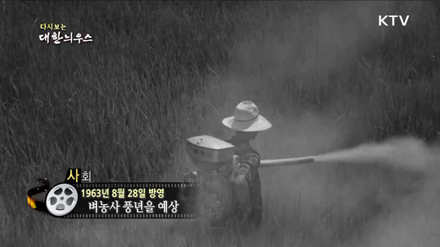 다시보는 대한늬우스 (63. 8. 28)