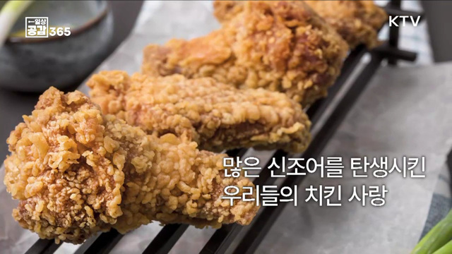 치킨값은 얼마가 적당할까요? [일상공감365] 