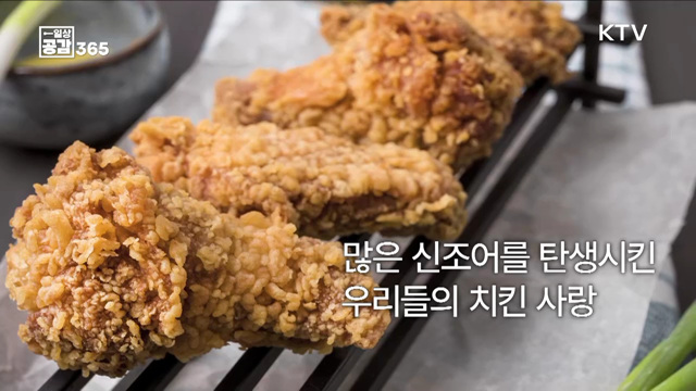 치킨값은 얼마가 적당할까요? [일상공감365]