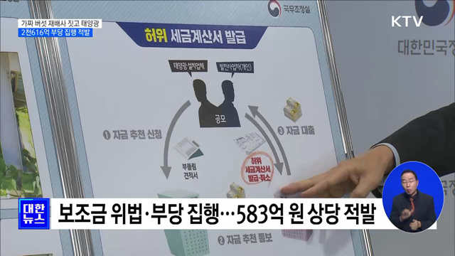 가짜 버섯 재배시설 짓고 태양광···2천616억 부당 집행