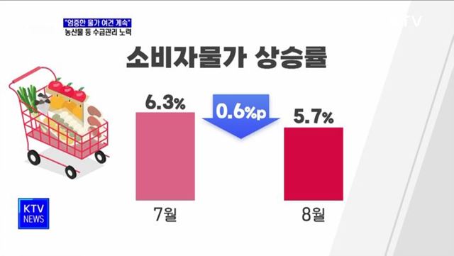 "엄중한 물가 여건···농산물 수급·업계 가격 인상 점검"