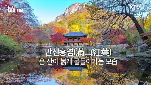 산이 붉게 물드는 가을, 2022년 첫단풍은? [일상공감365]