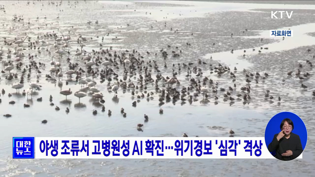 야생 조류서 고병원성 AI 확진···위기경보 '심각' 격상