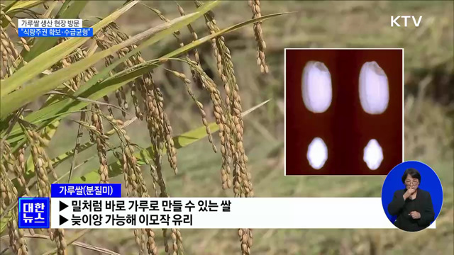 가루쌀 생산 현장 방문···"식량주권 확보·수급균형 달성"