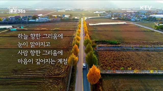 당신에게 가을은 어떤 계절인가요? [일상공감365]