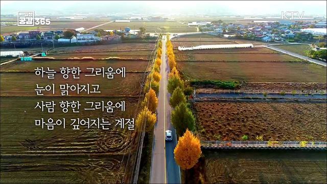 당신에게 가을은 어떤 계절인가요? [일상공감365]