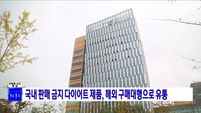 국내 판매 금지 다이어트 제품, 해외 구매대행으로 유통