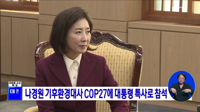 나경원 기후환경대사 COP27에 대통령 특사로 참석