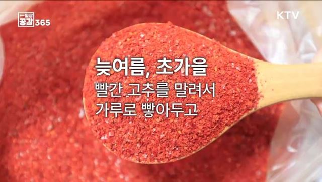 김장 준비로 맞이하는 입동 [일상공감365]