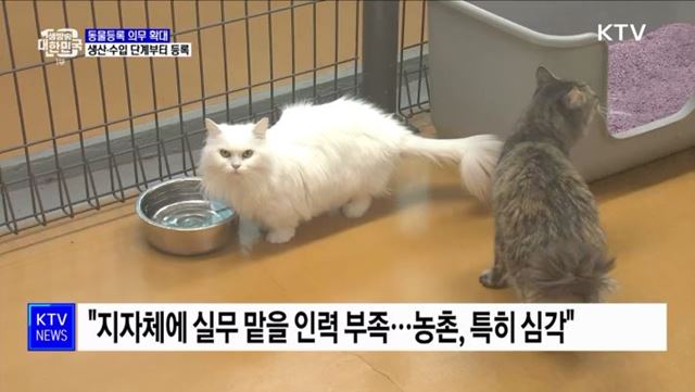 동물등록 의무 유통단계로 확대···'동물복지법' 개편 [정책현장+]