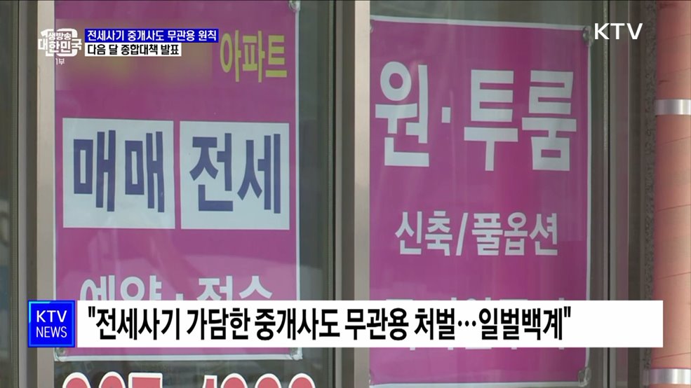 "전세사기 가담 중개사도 무관용 원칙···다음달 대책 발표"