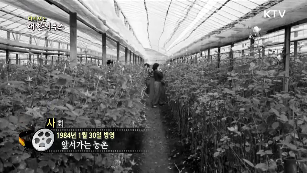 다시보는 대한늬우스 (84. 1. 30) 