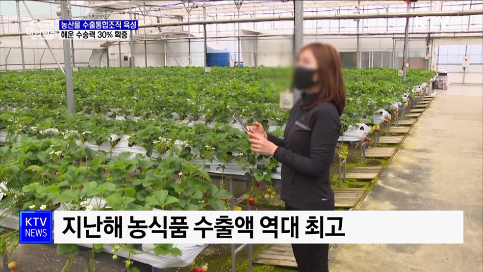 농산물·스마트팜 수출 집중···해운 수송력 30% 확충