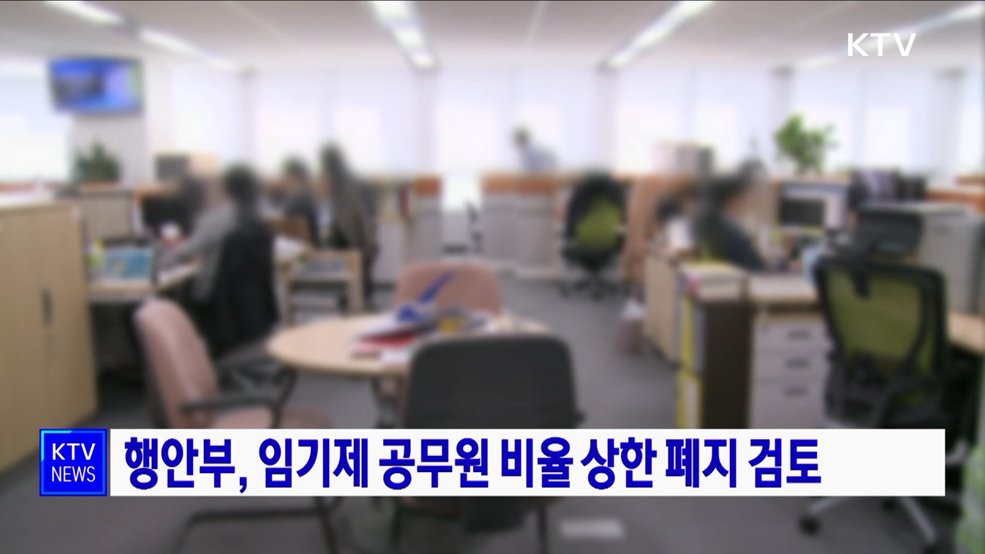 행안부, 임기제 공무원 비율 상한 폐지 검토