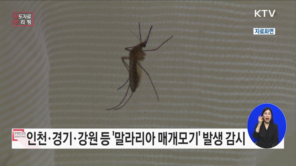 '말라리아 매개모기 발생 감시' 시작!