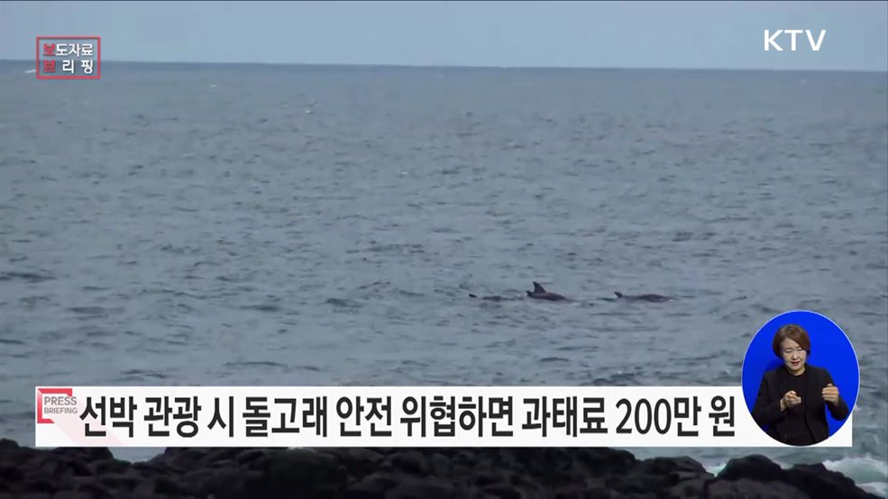 선박 관광 시 돌고래 안전 위협하면 200만 원 이하 과태료 부과