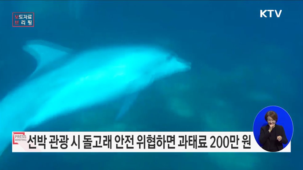 선박 관광 시 돌고래 안전 위협하면 200만 원 이하 과태료 부과