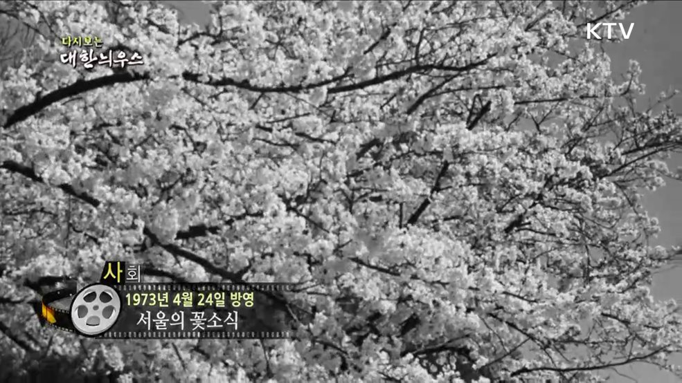 다시보는 대한늬우스 (73. 4. 24)