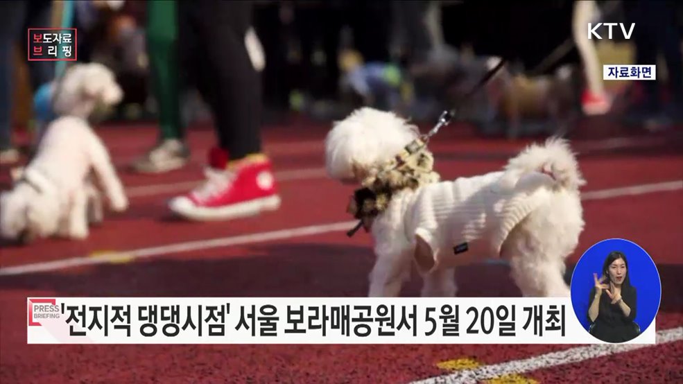 반려동물 축제 '전지적 댕댕시점' 개최