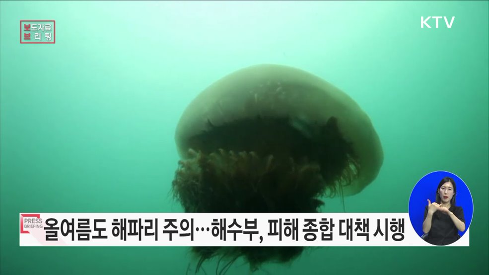 2023년 해파리 피해방지 종합대책 마련