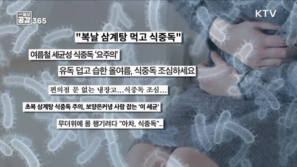 여름나기, 음식 관리부터 시작해보는건 어떨까요? [일상공감365]