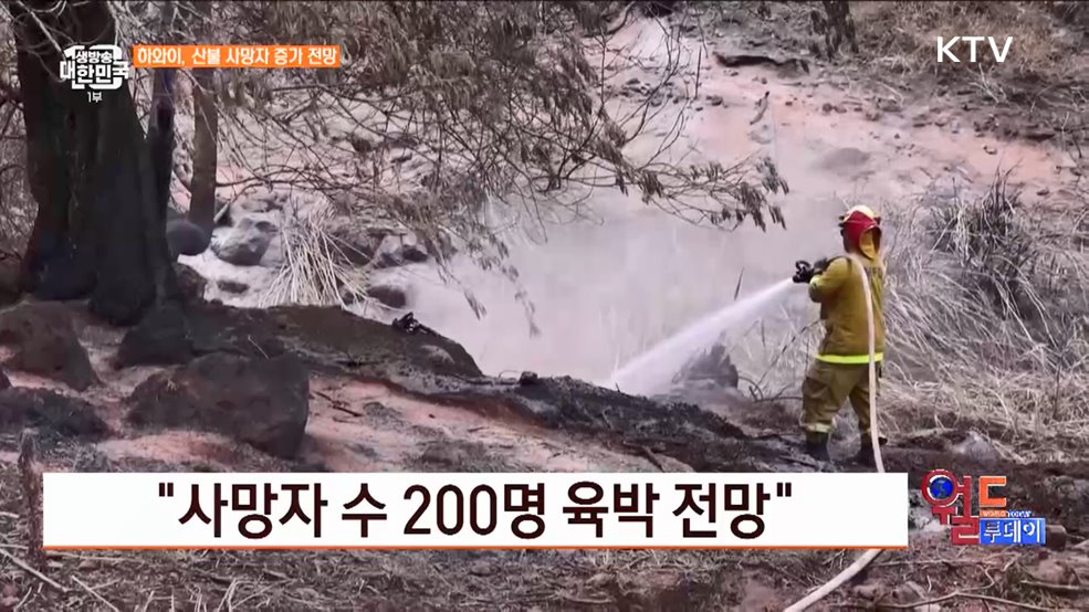 하와이, 산불 사망자 최소 99명 [월드투데이]