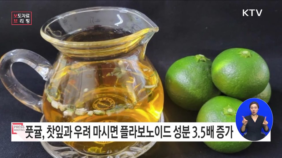 반짝 출하 여름 풋귤, 더 건강하게 즐기기