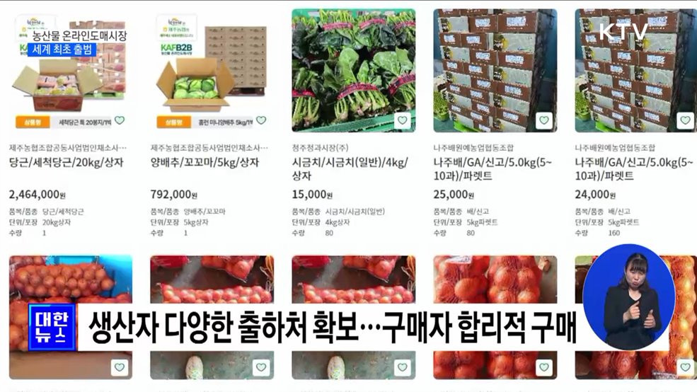 '온라인 가락시장' 만든다···농산물 온라인도매시장 출범 [정책현장+]