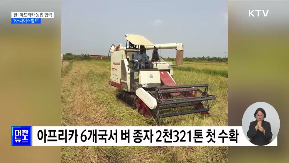 아프리카에 한국 쌀농사 기술 전수···"정상회의로 협력 강화" [정책현장+]