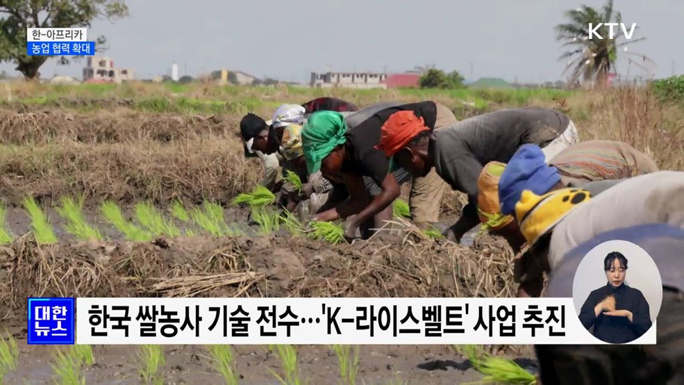 농업 협력 확대···"아프리카에 K-농업 확산"