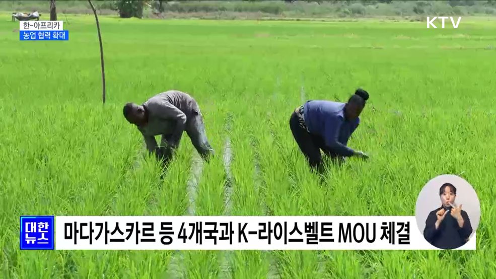 농업 협력 확대···"아프리카에 K-농업 확산"